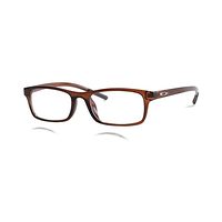 SAM AA12 Spectacles Frame in Brown Glossy — view 3