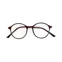 D & T AD99 Spectacles Frame in Glossy Brown — view 2