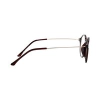 D & T AD99 Spectacles Frame in Glossy Brown — view 5