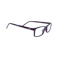 AHC ZM18004 AG46 Spectacles Frame in Glossy Brown — view 2