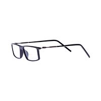 DOLP BH70 Spectacles Frame in Glossy Brown — view 3